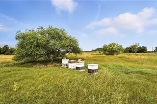 81 Private Rd 3095, Shiner, TX 77984 - Photo 25