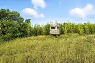 81 Private Rd 3095, Shiner, TX 77984 - Photo 17