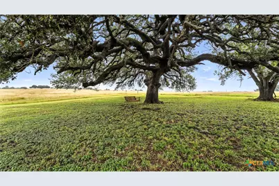 81 Private Road 3095, Shiner, TX 77984 - Photo 11