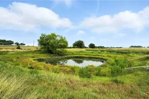 81 Private Rd 3095, Shiner, TX 77984 - Photo 7