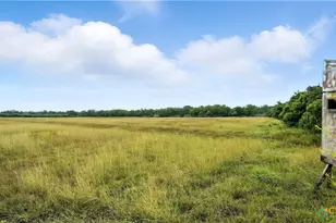 81 Private Rd 3095, Shiner, TX 77984 - Photo 15