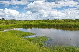 12119 W Hwy 29, Llano, TX 78643 - Photo 13