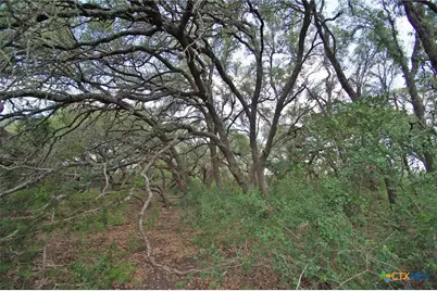 2002 County Road 276, Bertram, TX 78605 - Photo 27
