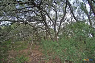 2002 Co Rd 276, Bertram, TX 78605 - Photo 27