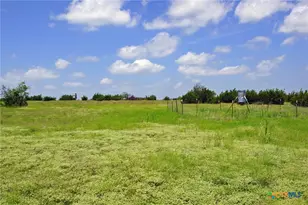 2002 Co Rd 276, Bertram, TX 78605 - Photo 3