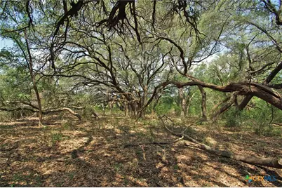 2002 County Road 276, Bertram, TX 78605 - Photo 11