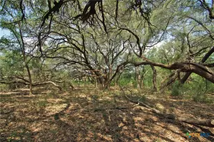 2002 Co Rd 276, Bertram, TX 78605 - Photo 11