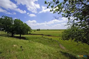 2002 Co Rd 276, Bertram, TX 78605 - Photo 13