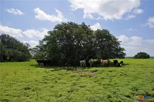 2002 Co Rd 276, Bertram, TX 78605 - Photo 7