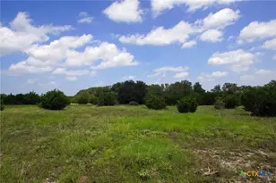 2002 Co Rd 276, Bertram, TX 78605 - Photo 31