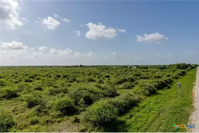 80 Acres Hwy 172, Port Lavaca, TX 77979 - Photo 9