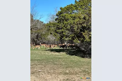 0 Deerwood Circle, Bandera, TX 78003 - Photo 1