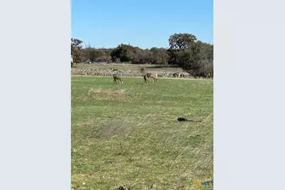 0 Deerwood Circle, Bandera, TX 78003 - Photo 9