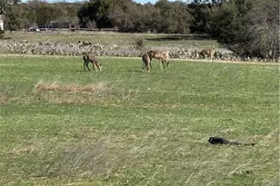 0 Deerwood Circle, Bandera, TX 78003 - Photo 9