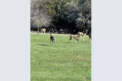 0 Deerwood Circle, Bandera, TX 78003 - Photo 11