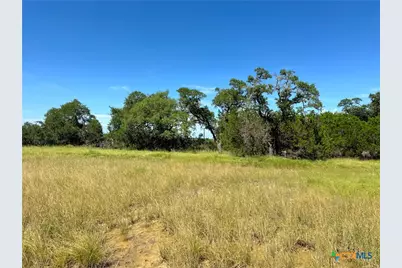 311 Toucan Drive, Spring Branch, TX 78070 - Photo 11