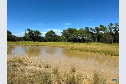 311 Toucan Drive, Spring Branch, TX 78070 - Photo 5