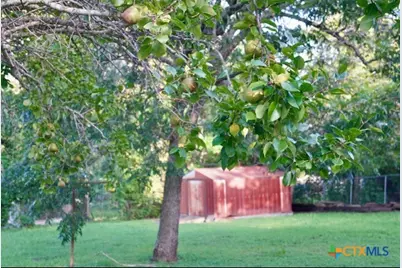 141 Jackson, Elgin, TX 78621 - Photo 5