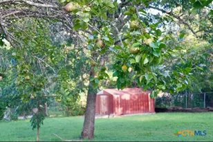 141 Jackson, Elgin, TX 78621 - Photo 5