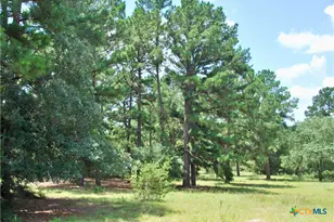 Tbd Sandy Ln, Rosanky, TX 78953 - Photo 5