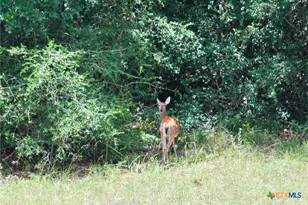 Tbd Sandy Ln, Rosanky, TX 78953 - Photo 31