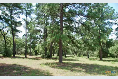 Tbd Sandy Lane, Rosanky, TX 78953 - Photo 19