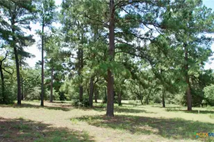 Tbd Sandy Ln, Rosanky, TX 78953 - Photo 19