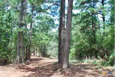 Tbd Sandy Lane, Rosanky, TX 78953 - Photo 15