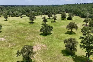 Tbd Sandy Ln, Rosanky, TX 78953 - Photo 27