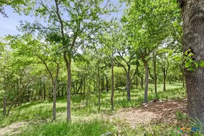 219 Fairway Drive, Gatesville, TX 76528 - Photo 23