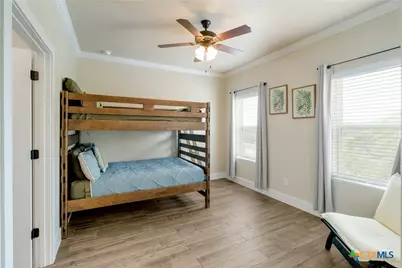 1699 Lake Ridge Boulevard, Canyon Lake, TX 78133 - Photo 15