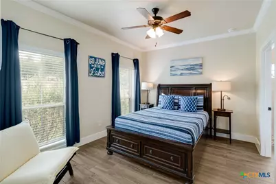 1699 Lake Ridge Boulevard, Canyon Lake, TX 78133 - Photo 13