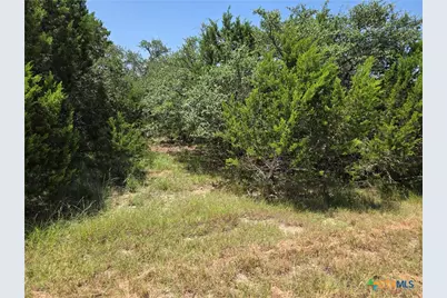 239 George Strait, Canyon Lake, TX 78133 - Photo 21