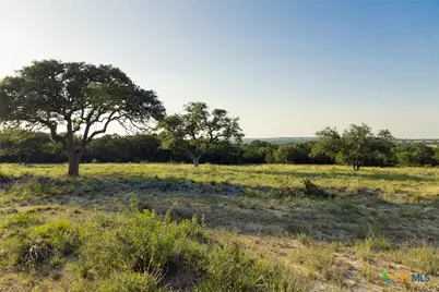 938 Lindeman Lane, Blanco, TX 78606 - Photo 9
