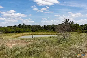 000 County Road 132, Hallettsville, TX 77964 - Photo 9