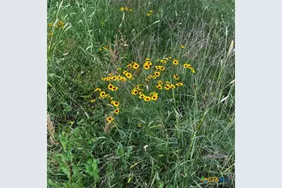 383 Fm 766, Cuero, TX 77954 - Photo 31