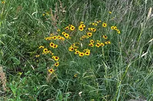 383 F-M 766, Cuero, TX 77954 - Photo 31