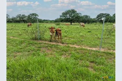 15545 State Highway 111, Yoakum, TX 77995 - Photo 37