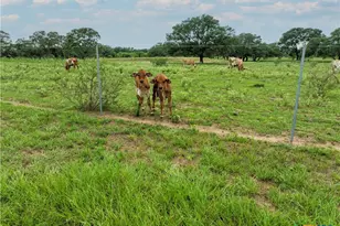 15545 State Hwy 111, Yoakum, TX 77995 - Photo 37
