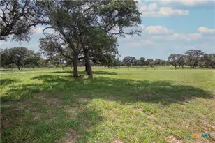 15545 State Hwy 111, Yoakum, TX 77995 - Photo 35