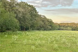 9590 Maynard Hallmark Rd, Flatonia, TX 78941 - Photo 35