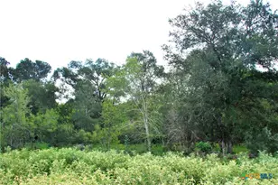 9590 Maynard Hallmark Rd, Flatonia, TX 78941 - Photo 19