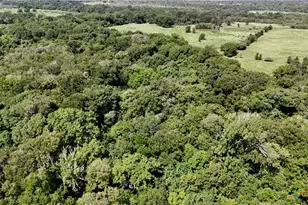 9590 Maynard Hallmark Rd, Flatonia, TX 78941 - Photo 29