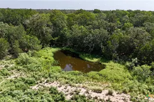 9590 Maynard Hallmark Rd, Flatonia, TX 78941 - Photo 5