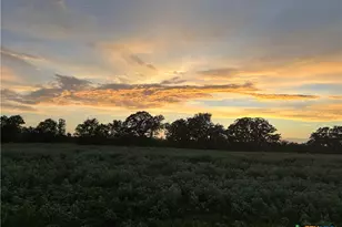 9590 Maynard Hallmark Rd, Flatonia, TX 78941 - Photo 31