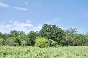 9590 Maynard Hallmark Rd, Flatonia, TX 78941 - Photo 39