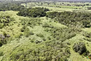 9590 Maynard Hallmark Rd, Flatonia, TX 78941 - Photo 37