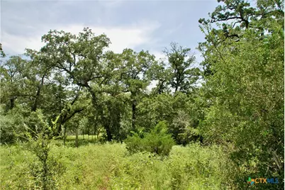 9590 Maynard Hallmark Road, Flatonia, TX 78941 - Photo 43
