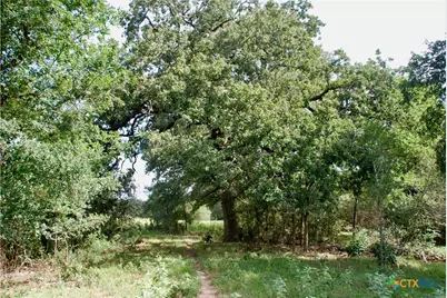 9590 Maynard Hallmark Road, Flatonia, TX 78941 - Photo 25
