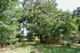 9590 Maynard Hallmark Rd, Flatonia, TX 78941 - Photo 25